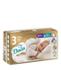 Підгузки Dada Extra Care 3 MIDI / 4-9 кг  50 шт ExtraCare3New фото 1